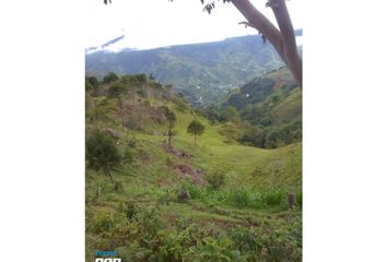 Villa-Quinta en  Cañasgordas, Antioquia