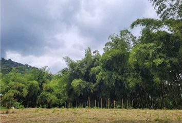 Lote de Terreno en  Las Araucarias, Santa Rosa De Cabal