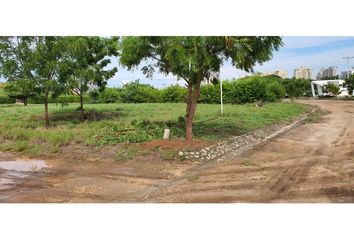 Lote de Terreno en  Acodis, Santa Marta