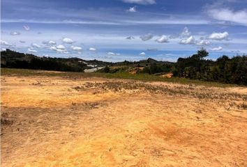 Lote de Terreno en  San Vicente, Antioquia