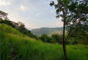 Villa-Quinta en  Anatolí, La Mesa