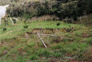 Local Comercial en  San Vicente, Antioquia