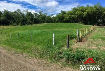 Lote de Terreno en  Cerritos, Pereira