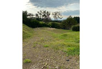 Lote de Terreno en  Cerritos, Pereira