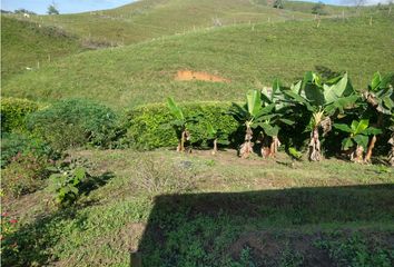 Lote de Terreno en  El Campín, Manizales