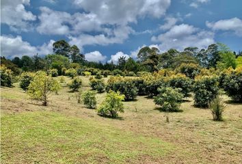 Lote de Terreno en  Rionegro Antioquía