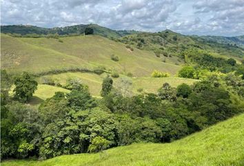 Villa-Quinta en  Cartago, Valle Del Cauca