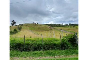 Lote de Terreno en  El Calvario, Pasto