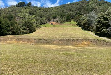 Lote de Terreno en  Rionegro Antioquía