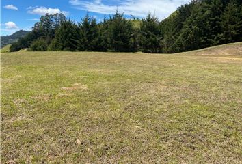 Lote de Terreno en  Rionegro Antioquía