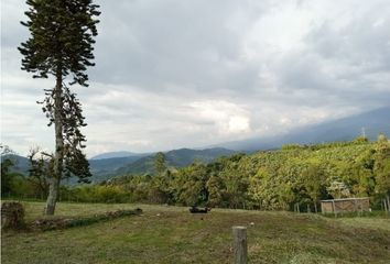 Lote de Terreno en  Kennedy, Pereira