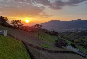 Lote de Terreno en  Centro, Pereira