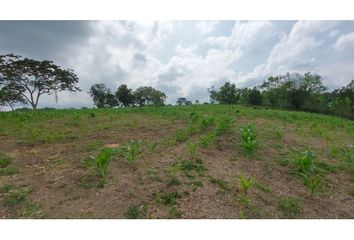 Lote de Terreno en  Villa Del Carmen, Norte, Armenia