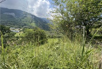 Lote de Terreno en  Titiribí, Antioquia