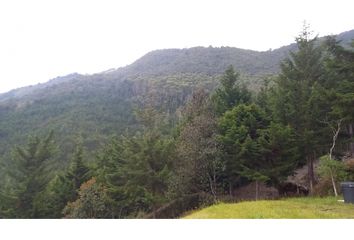 Lote de Terreno en  Poblado, Medellín