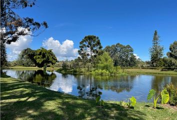 Lote de Terreno en  El Carmen De Viboral, Antioquia