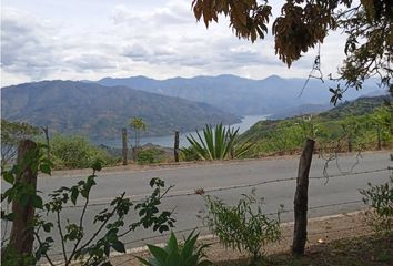 Lote de Terreno en  Morales Cauca, Cauca