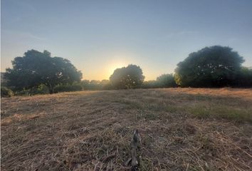 Lote de Terreno en  Paso Del Mango, Santa Marta