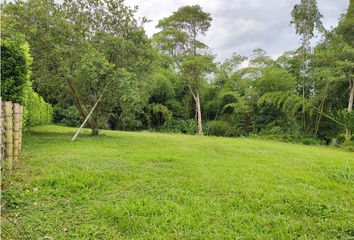 Lote de Terreno en  Belmonte, Pereira