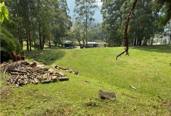 Lote de Terreno en  El Tesoro, Medellín