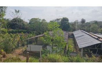 Lote de Terreno en  Ciénaga De Oro, Córdoba