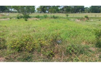 Lote de Terreno en  El Centro, Montería