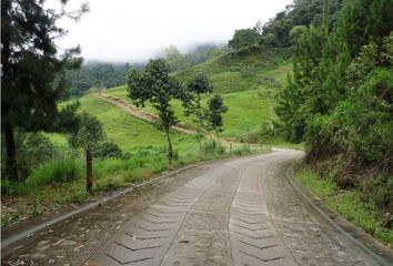 Villa-Quinta en  La Vega, Cundinamarca