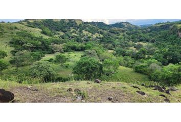 Lote de Terreno en  Piedras, Tolima