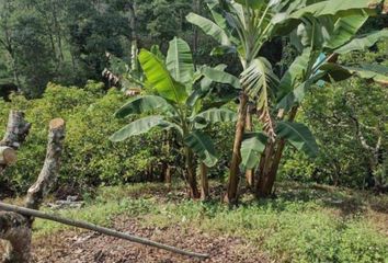 Lote de Terreno en  Dinamarca, Ulloa