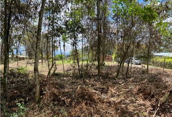 Lote de Terreno en  Rionegro Antioquía