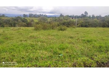 Lote de Terreno en  Corregimiento Julumito, Popayán