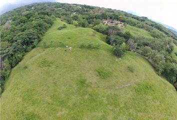 Lote de Terreno en  Támesis, Antioquia