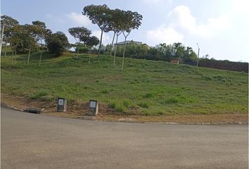 Lote de Terreno en  Parcelaciones Pance, Cali