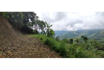 Lote de Terreno en  El Bosque, Manizales