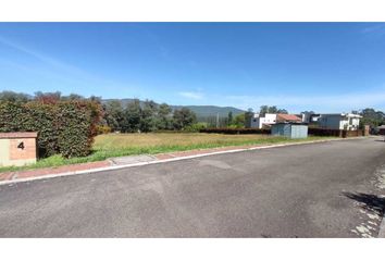 Lote de Terreno en  Sopó, Cundinamarca