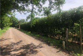 Lote de Terreno en  Ranchos Del Inat, Montería