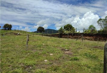 Lote de Terreno en  Santuario, Antioquia