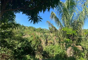 Lote de Terreno en  El Cisne, Santa Marta