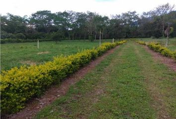 Lote de Terreno en  Cataluña, Villavicencio