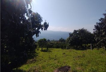 Lote de Terreno en  Anatolí, La Mesa