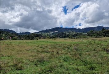 Lote de Terreno en  La Ceja, Antioquia