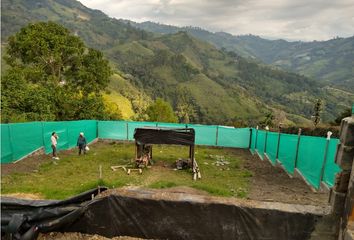 Lote de Terreno en  Villamaría, Caldas