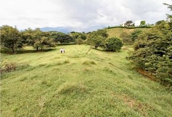 Lote de Terreno en  Argelia, Antioquia