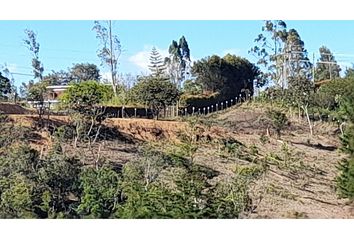 Lote de Terreno en  Rionegro Antioquía