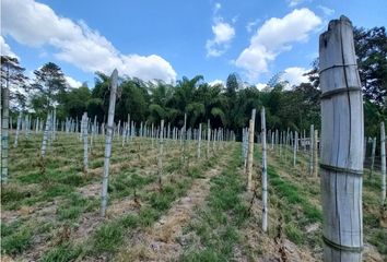 Lote de Terreno en  La Tebaida, Quindío