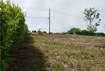 Lote de Terreno en  Centro, Manizales