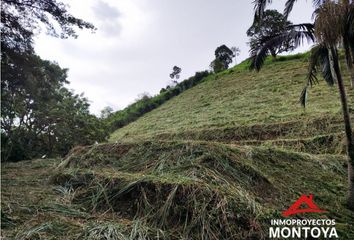 Lote de Terreno en  Cerritos, Pereira