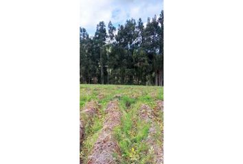 Lote de Terreno en  Villa Recreo, Pasto