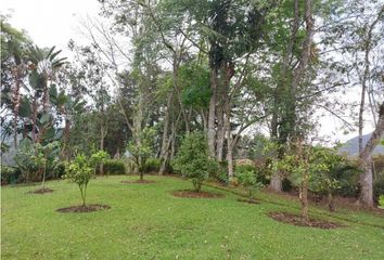 Lote de Terreno en  El Carmen De Viboral, Antioquia