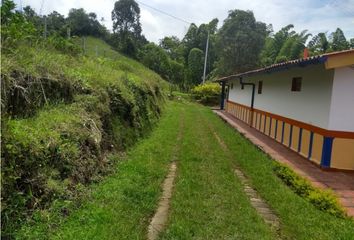 Villa-Quinta en  Aranzazu, Caldas